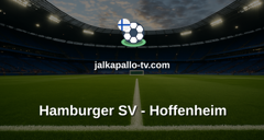 Bundesliga: Hamburger SV - Hoffenheim