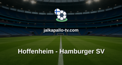 Bundesliga: Hoffenheim - Hamburger SV