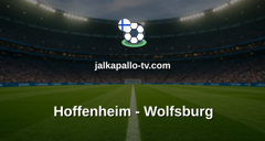 Bundesliga: Hoffenheim - Wolfsburg