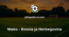 MM-karsinnat: Wales - Bosnia ja Hertsegovina