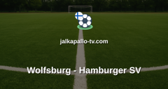 Bundesliga: Wolfsburg - Hamburger SV